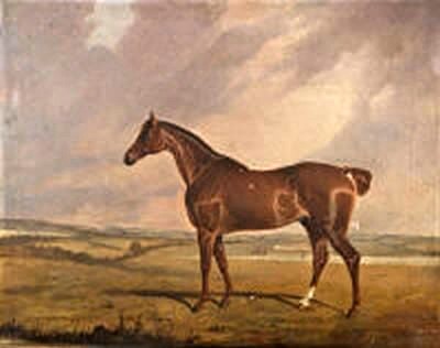 A Portrait of a Blood Horse in a Landscape 