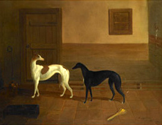 Brace of Greyhounds, the property of Mr. R. Beaumont