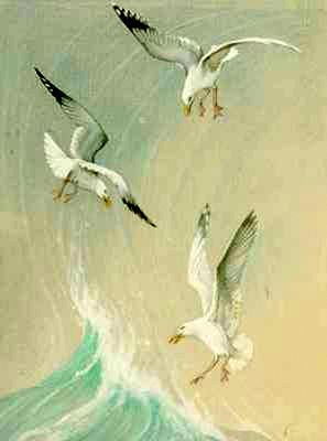 Three Seagulls above the Wave