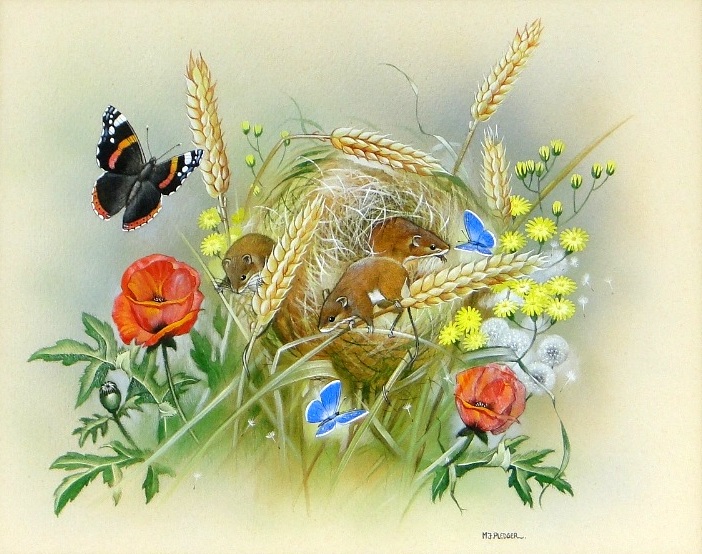 Field Mice and Butterflies