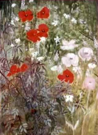 Poppies and Rubrifolia