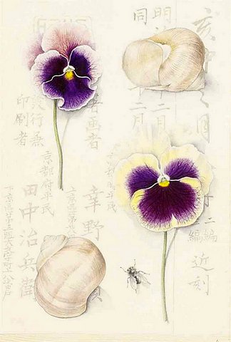 Pansies and Snails