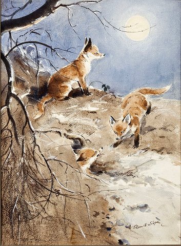 Fox Cubs under the Moon