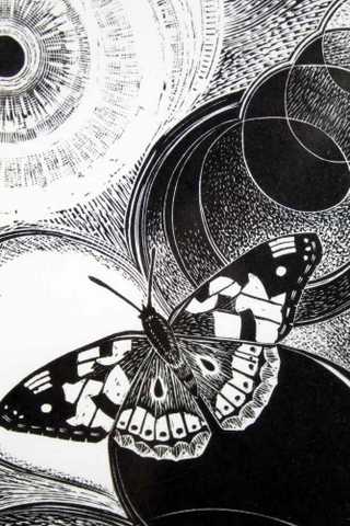 Butterfly and Circles
