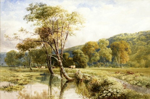 The Water Meadow