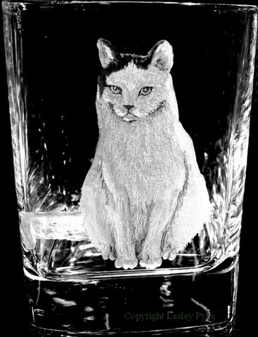 Engraved Cat