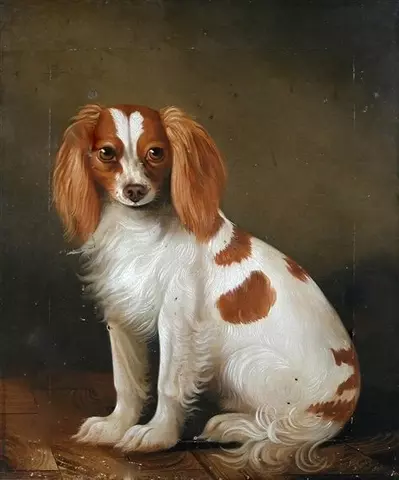 Carlo, a Study of a King Charles Spaniel