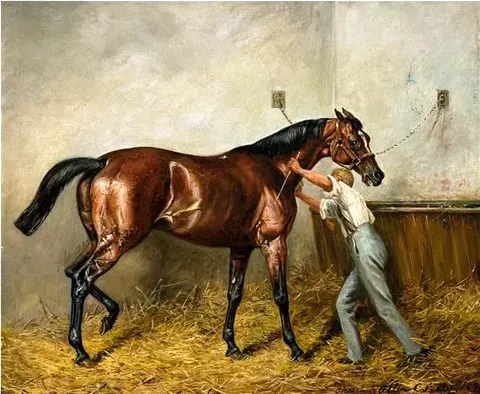 Gonsalvo and Groom in Stable