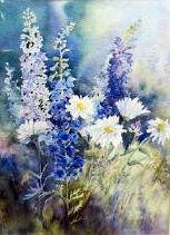 Delphiniums and Daisies
