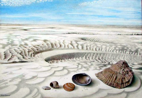 Shells on the Beach, Wells next the Sea